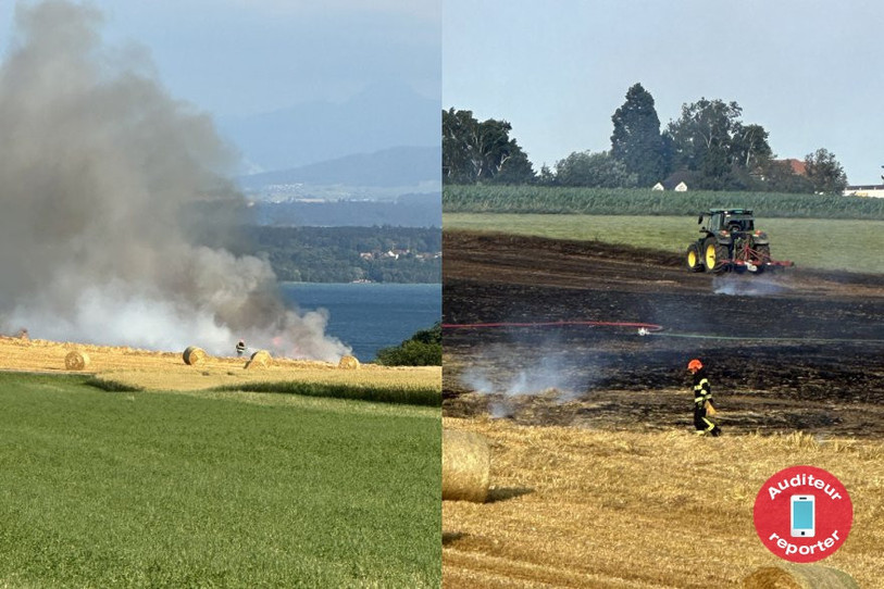 Un feu de champ a été rapidement maitrisé par les pompier à Cortaillod ce lundi.
