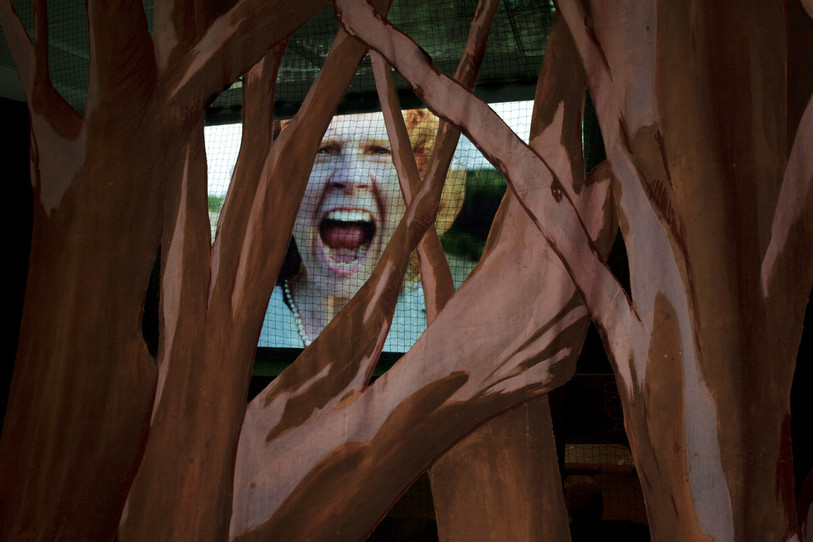 Le public peut notamment découvrir un film au sein de l'installation immersive de Pauline Curnier Jardin. (Photo : Centre Pasquart)