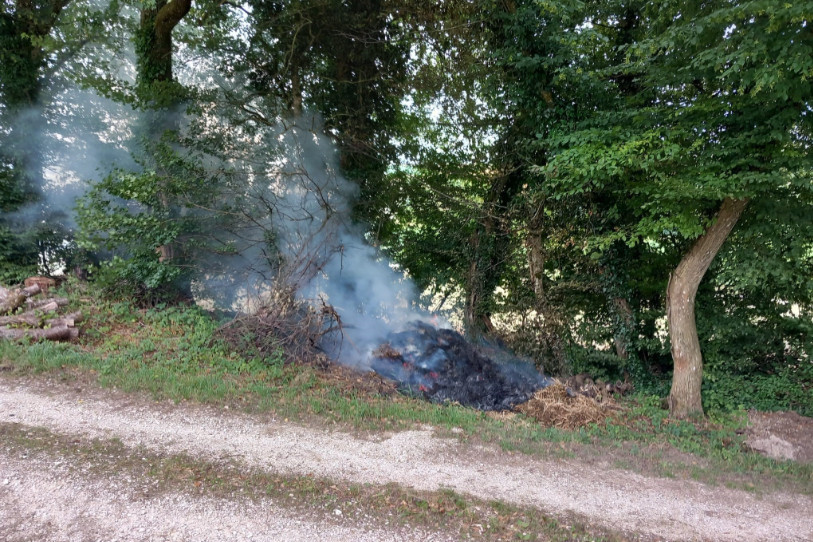 Un feu de végétation s'est déclaré samedi après-midi sur les hauteurs de Buix (photo : Christophe Berthold)