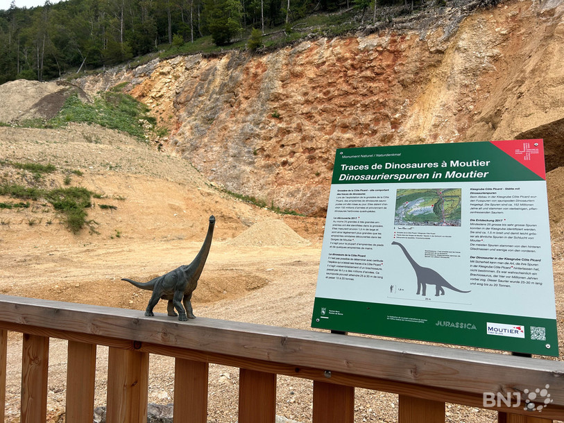 La nouvelle structure a été inaugurée mardi et permettra aux visiteurs d'observer les traces de dinosaures en toute sécurité.