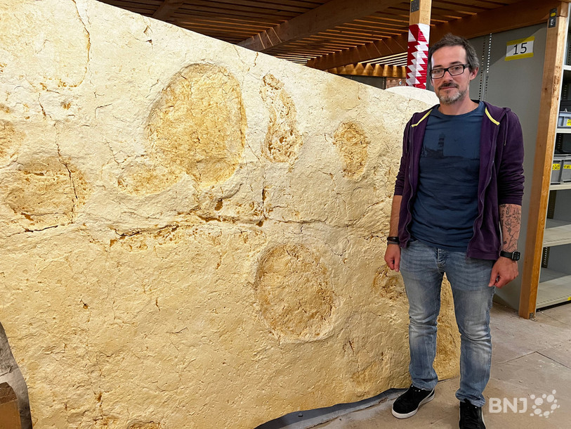 Jérémy Anquetin, paléontologue et maître d'enseignement et de recherche à Jurassica, nous fait découvrir les traces de dinosaures découvertes lors des fouilles de l'A16.
