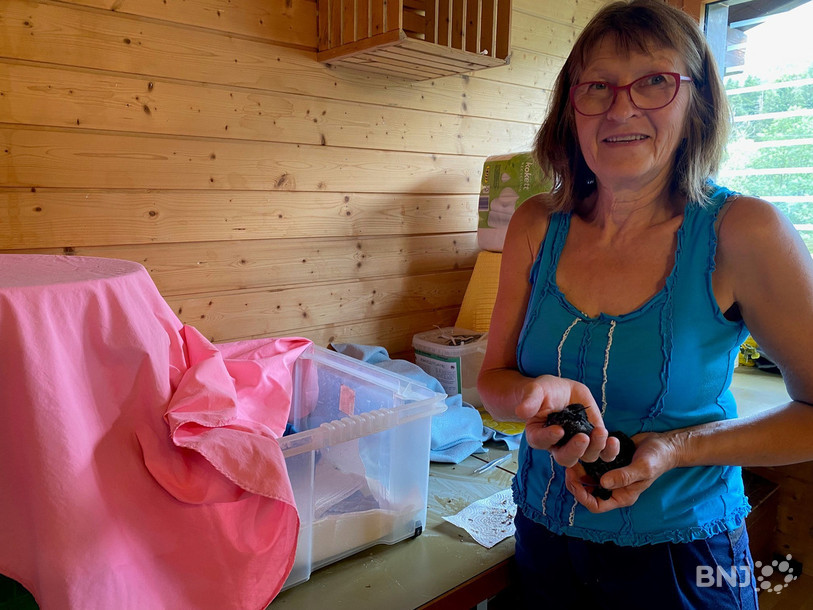 Une vie de passion et de sacrifice pour Dominique Eggler, dont la maison est un véritable nid pour bêtes à plumes.