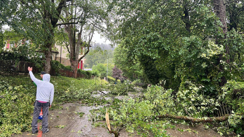 Dans toutes les régions du canton des branches et des arbres sont tombés sur les routes. (Photo : archives)
