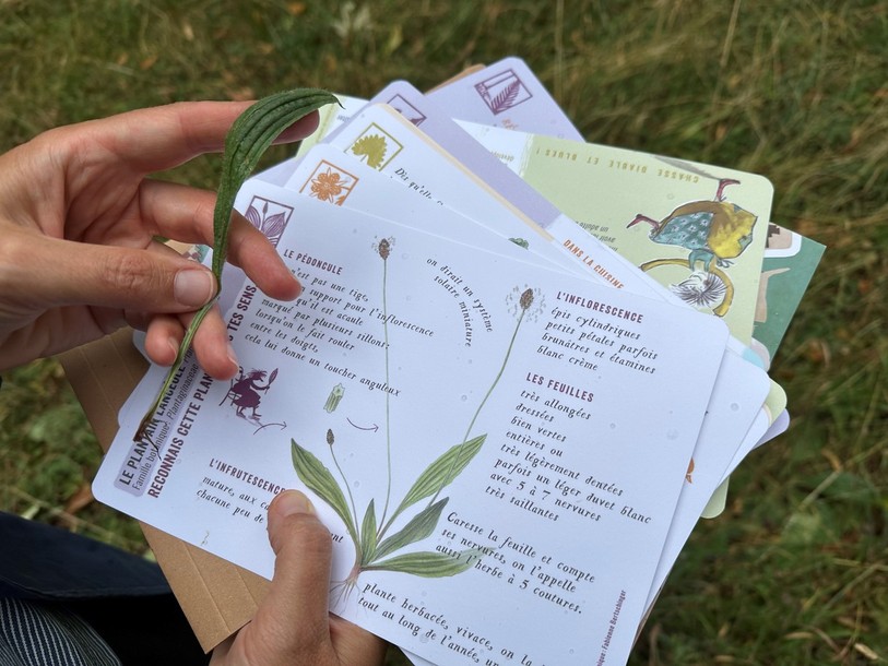 Une des cartes du jeu didactique lancé par Graines de curieux.