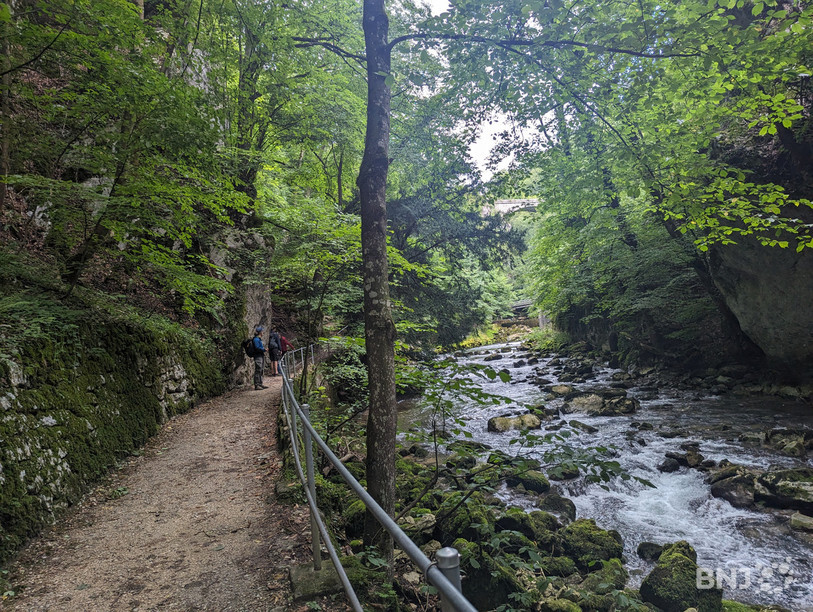 Cette balade offre un bon moment de détente, malgré sa proximité avec la Ville de Bienne