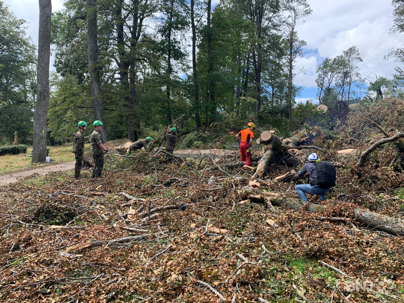Au parc Gallet, une vingtaine de militaires du bataillon d'intervention d'aide en cas de catastrophe œuvrent à déblayer le terrain et abattre les arbres instables.