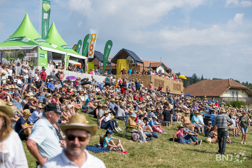 L'affluence record a dopé les chiffres. (Photo : Archives : Jonathan Vallat).