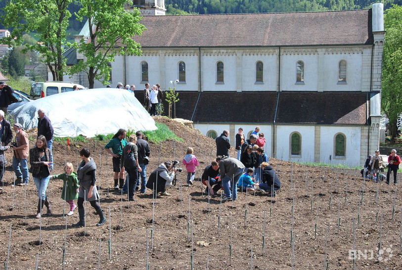 Fête de la Plantation