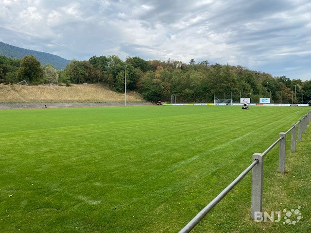 Le club est aux petits soins avec son terrain des Fourches pour accueillir le FC Bâle. 