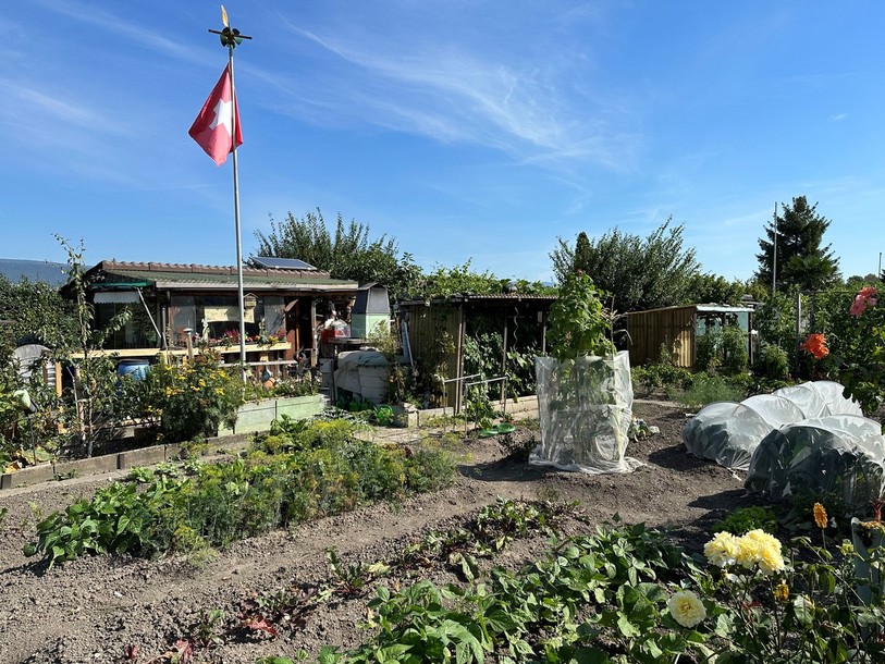 Ernst Oberli occupe cette parcelle numéro 51 des jardins familiaux de Brügg depuis 1981.
