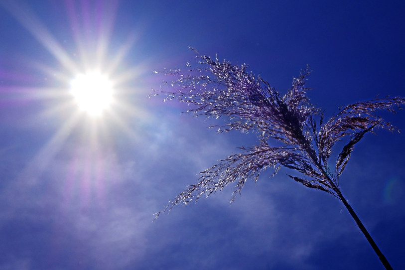 Soleil et chaleur au programme du week-end. (Photo : illustration libre de droit)