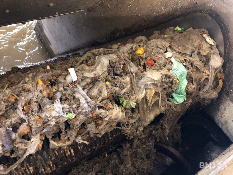 Tout ce qui tombe dans les toilettes finit par être capturé dans les filtres de la station d'épuration.