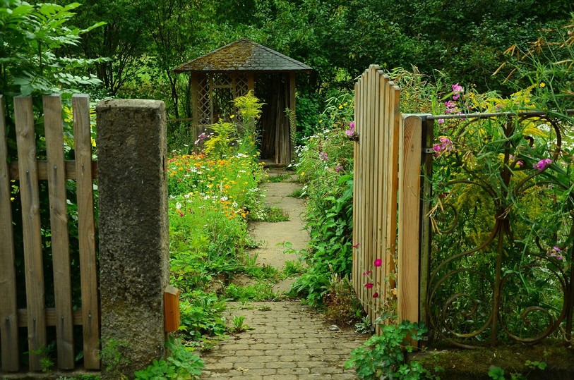 La fin de l'été est proche, que faire au potager ?