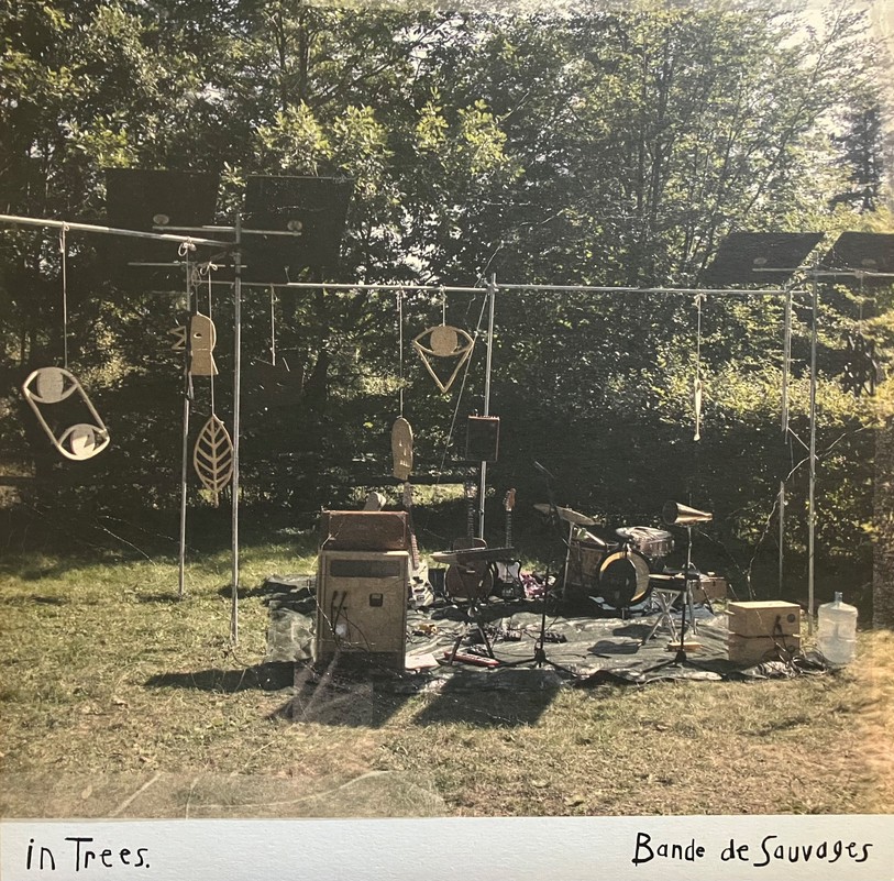 In Trees - Bande de Sauvages (cover album)