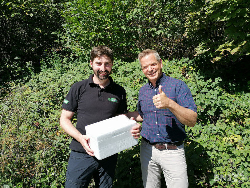 Lukas Seehausen, scientifique au CABI à Delémont, et Alain Gaume, d'Agroscope, heureux après le lâcher de guêpes sur les hauteurs de la capitale jurassienne.