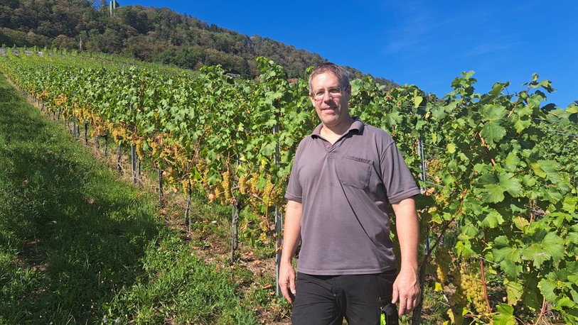 Remo Giauque cultive 3,2 hectares de vignes sur les hauteurs de Gléresse. Il a remporté le prix du Vin bernois de l'année 2023.