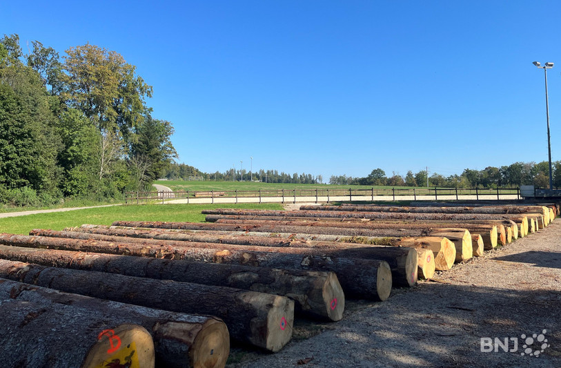 Le bois sous toutes ses formes est à l'honneur dimanche au Mont-de-Coeuve.