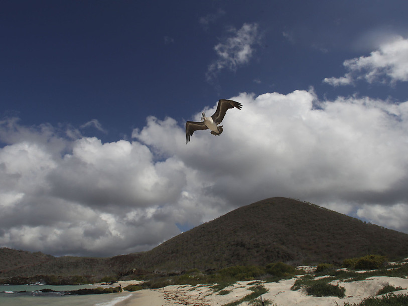 L'île de Floreana a été l'une des premières habitées par l'homme de l'archipel des Galapagos (Photo : Keystone/AP/Dolores Ochoa)