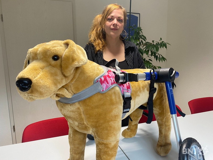 Ludivine Ruffieux a fondé l'entreprise Pawridise par passion plutôt que par ambition économique.