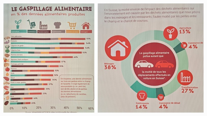 Les infographies de Foodwaste ont couvert les vitres de la bibliothèque du gymnase avec des informations en tout genre sur le sujet. 
