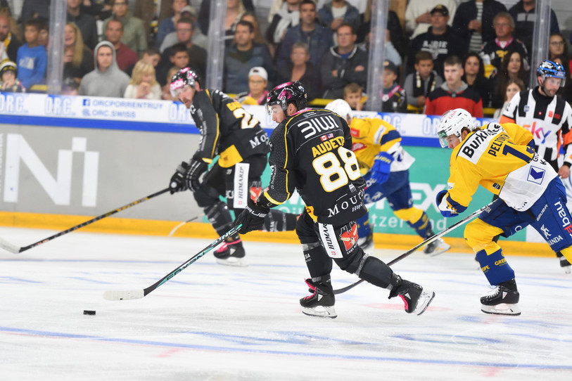 Daniel Audette (88) et Frédérik Gauthier pourraient faire face à une plus grande concurrence au sein de la légion étrangère du HC Ajoie  (photo : Georges Henz).