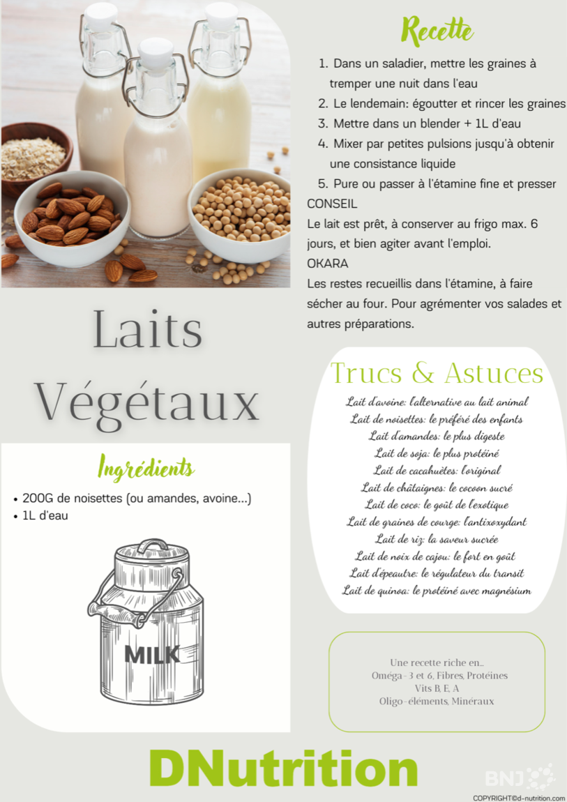Recette des laits végétaux par Davina Comment