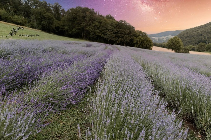 « Fenaison bleue » est en lice pour l'agroprix 2023 grâce à sa production biologique d'huile essentielle de lavandin. (Photo : VR Photography)