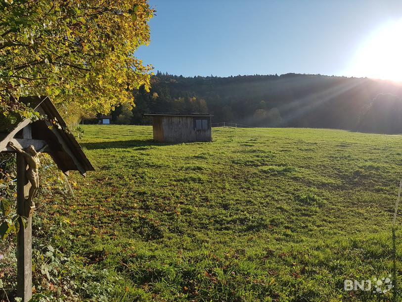 Un Christ en croix dans la campagne ajoulote.