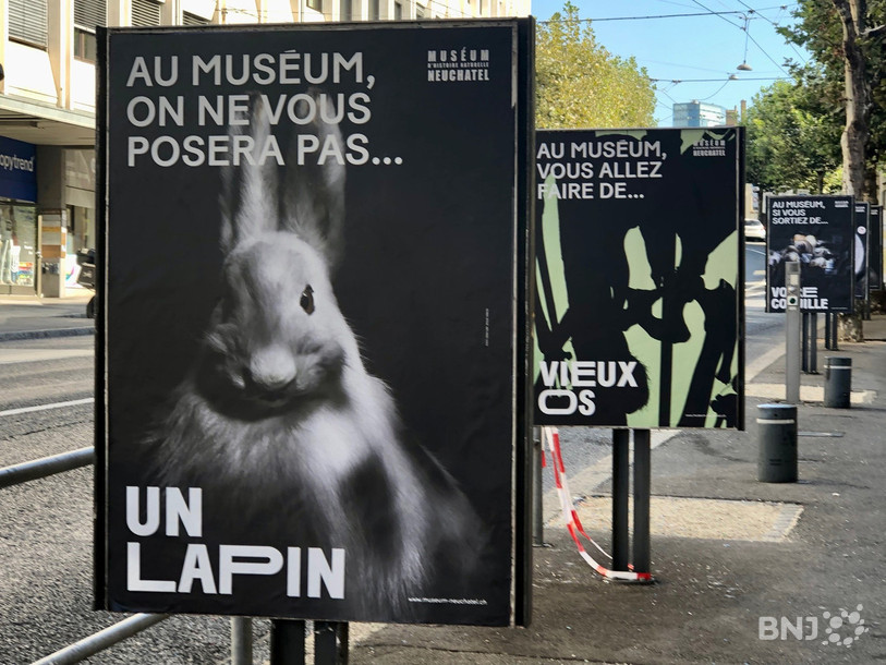 Ces affiches sont disposées devant la porte du Muséum, à Neuchâtel.