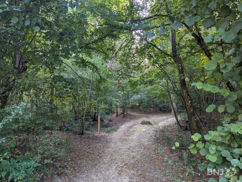 Les proches des défunts pourront accéder aux tombes par des chemins forestiers. Seules les cendres, sans urne, seront enterrées.