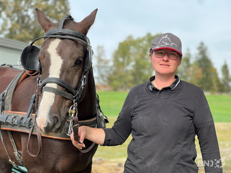 Christa Jacot-Graf et son cheval Norbert lors de l'entraînement.