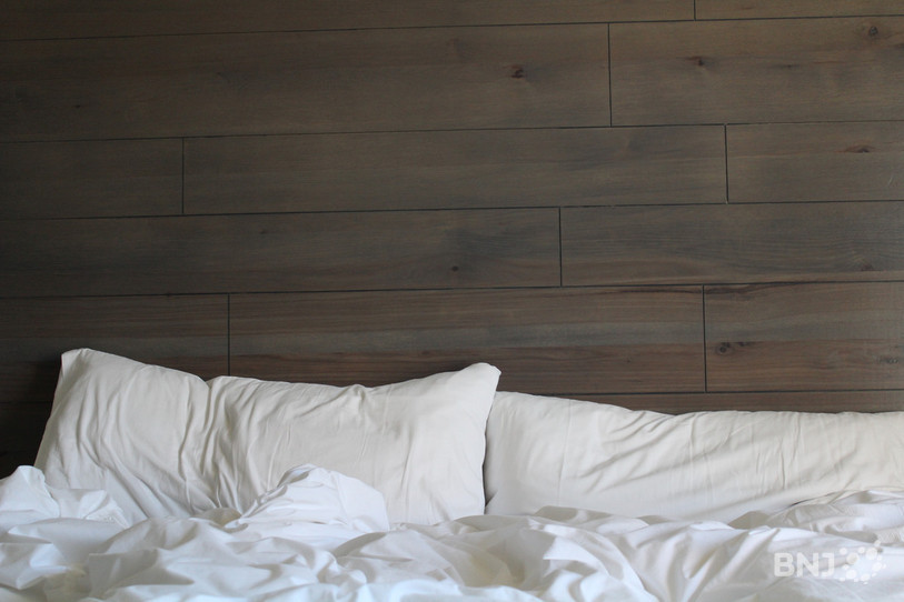 Les punaises de lit ont créé une véritable psychose ces derniers temps. (photo : libre de droits)