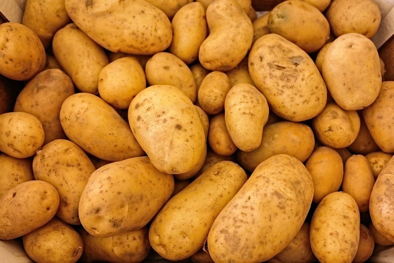 Les producteurs vont probablement faire face à une baisse de rendement de 30% à cause de mauvaises conditions météorologiques (photo : libre de droits).