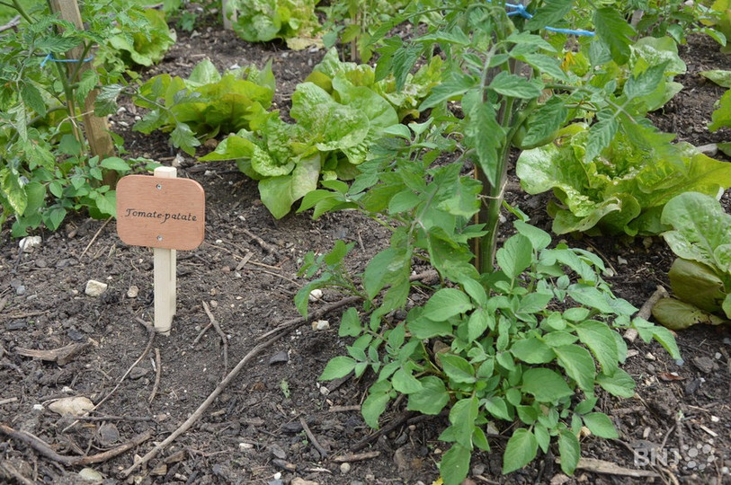 Les Nouveaux jardins de l'EPER sont distingués pour leurs aspects sociaux et environnementaux (photo : archives).