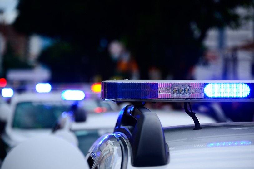 Les gendarmes ont encadré une battue qui a mobilisé près de 200 personnes.