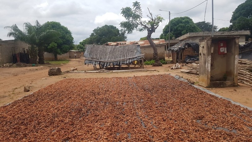 Un jeune agriculteur de La Ferrière s'est rendu en Côte d'Ivoire pour visiter des exploitations locales.