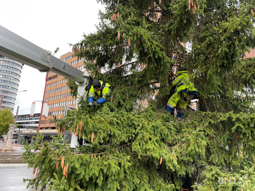 La Chaux-de-Fonds prépare les fêtes de fin d'année. Cette année, le cœur de la Métropole horlogère sera à nouveau illuminé. 