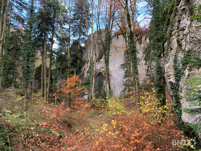 Les Rochers de la Sot, impressionnante barrière naturelle dissimulée dans la forêt.
