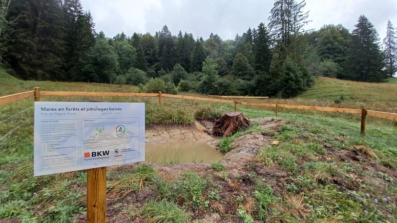 Deux mares ont déjà été réalisées par ValFoêt à l'été 2023. Elles se situent à la Combe Bordon près de Saicourt. (Photo : ValForêt)