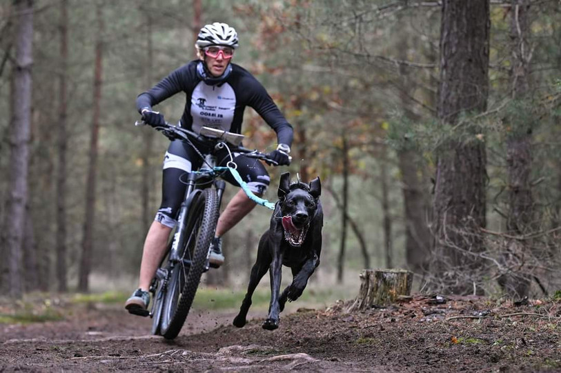 Séverine Boillat et Tytan ont pris ici la 4e place en Bikejöring.