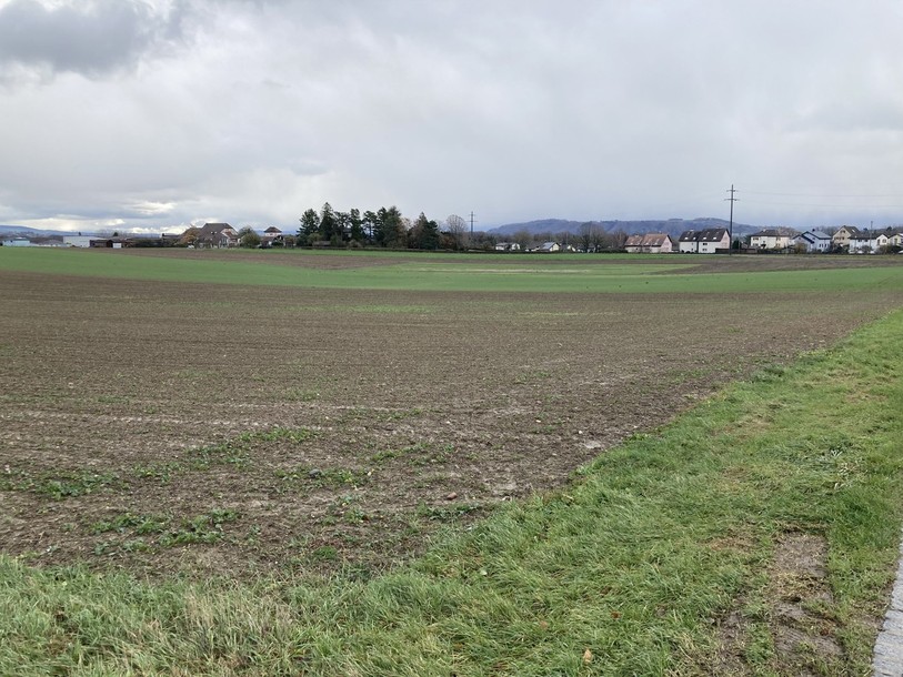 La parcelle qui doit accueillir le pôle économique de La Tène.