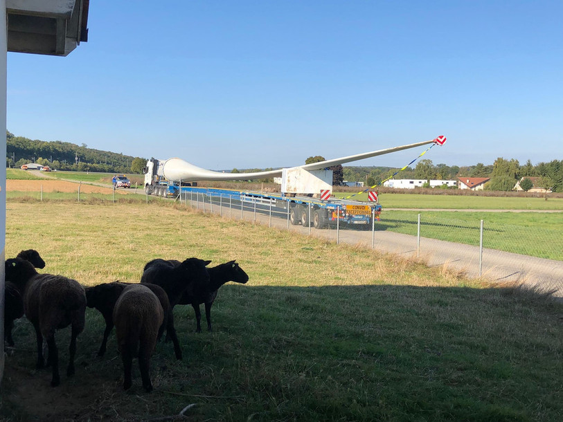 De la laine de mouton au recyclage d'une pale d'éolienne (ici lors de son acheminement), la diversification de la Flasa expliquée en une image ! (Photo : Planair)