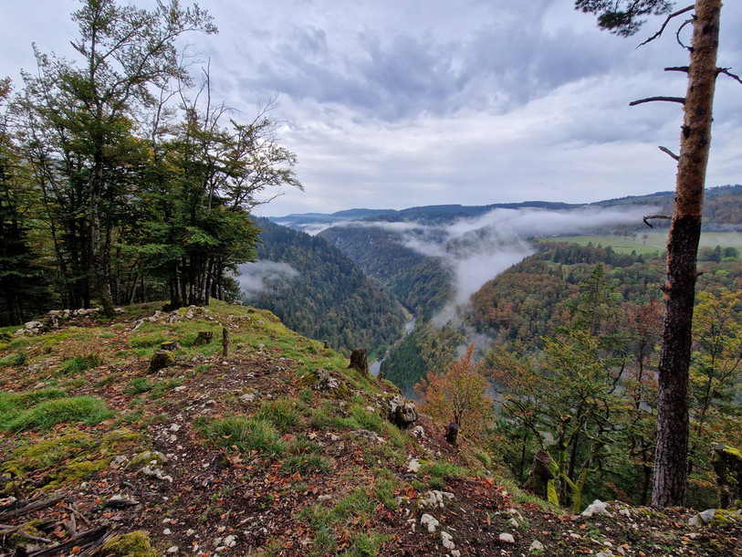 Ici, du côté de la falaise de Blanche-Eglise, plusieurs arbres auraient été coupés illégalement pour dégager la vue. (Photo : Réserve Theusseret).