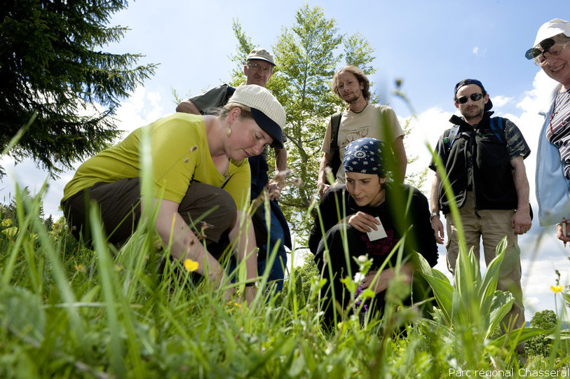 Des promeneurs partent à la découvert de la faune et de la flore dans le cadre de Parc en fête