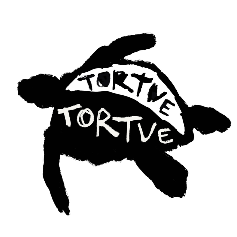 Logo tortue tortue