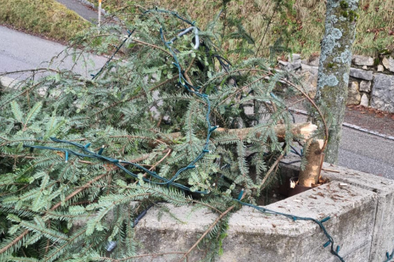 Un tracteur a cassé le sapin de Noël de Mettembert dans la nuit de samedi à dimanche (Photo : commune de Mettembert)