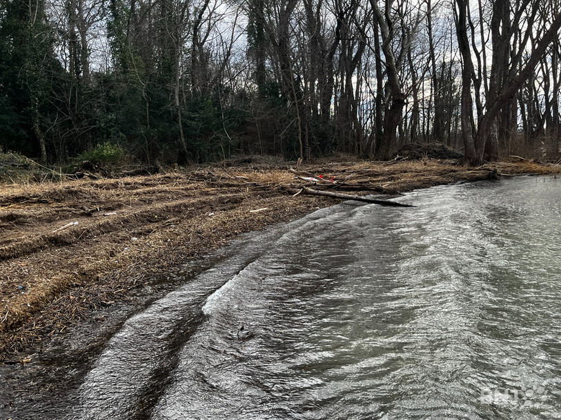 La montée puis la descente des eaux du lac ont charrié de nombreux matériaux, pour la très grande majorité du bois et du gravier.