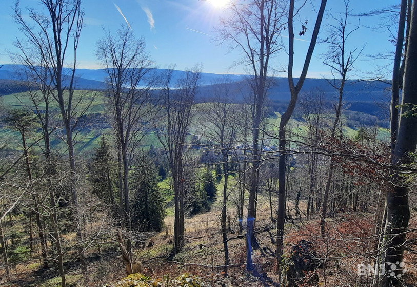Le manque de précipitations n'est pas encore alarmant dans le Jura.