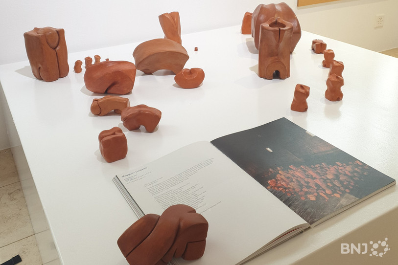 L'exposition « Terres nues » d'Umberto Maggioni est à découvrir à la galerie de la FARB du 20 janvier au 25 février prochain.