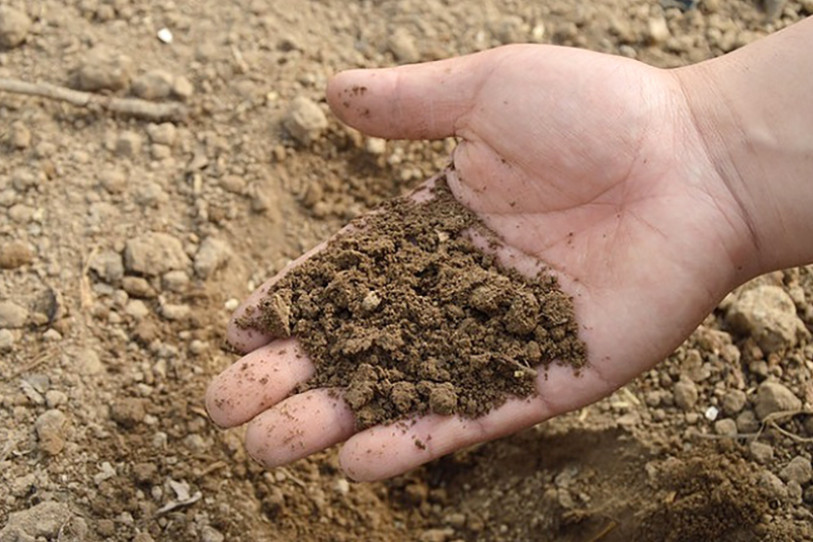 Fenaco abandonne son projet à Réclère. (Photo libre de droits)